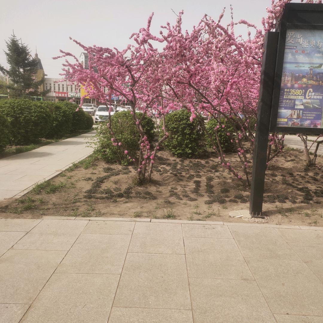 微光阅览