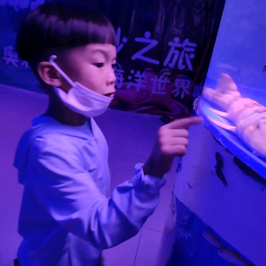 卡路里