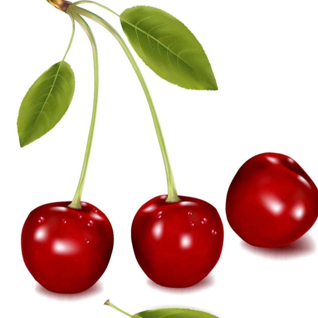 花开朵朵  朵朵不同