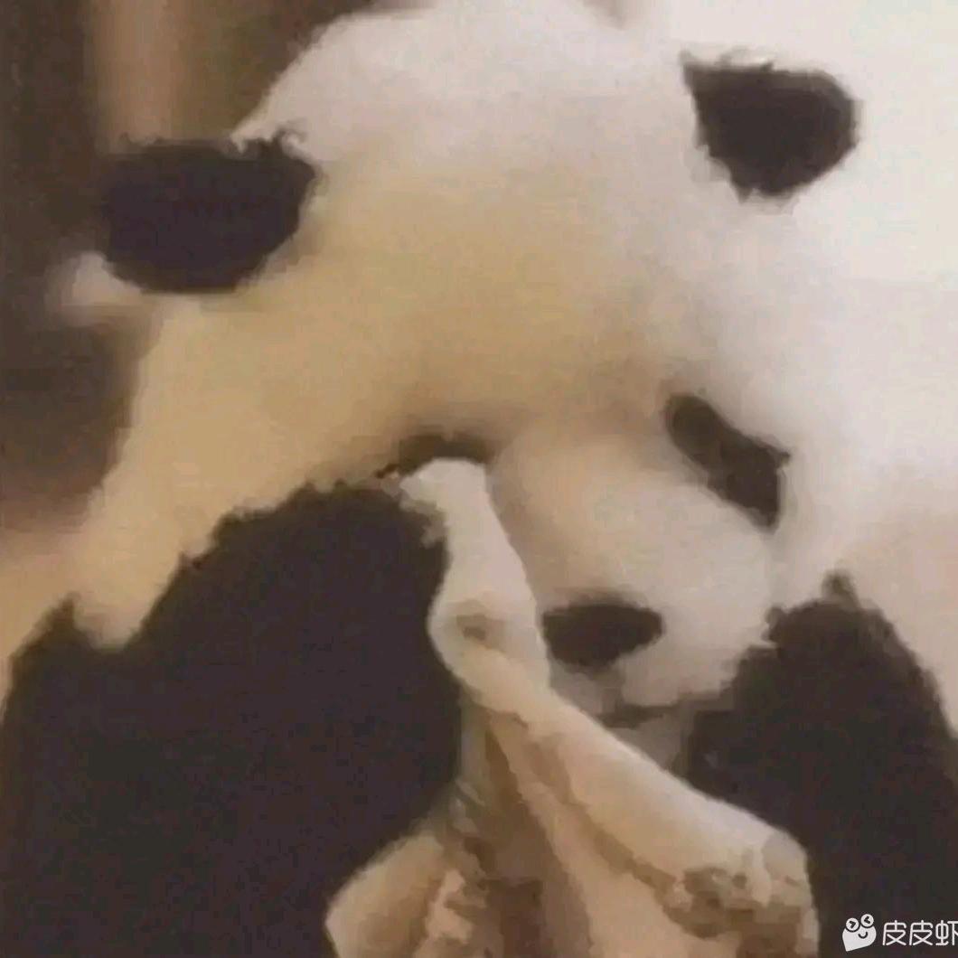 啊哈　  　　　　　  🪳