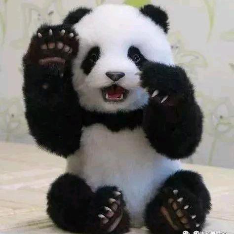 表情包