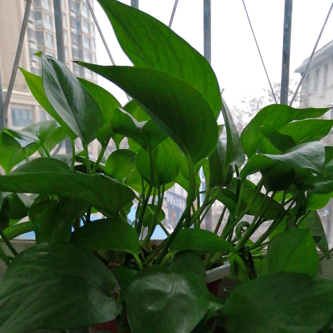 ⛵️⁶³⁰ AAA and