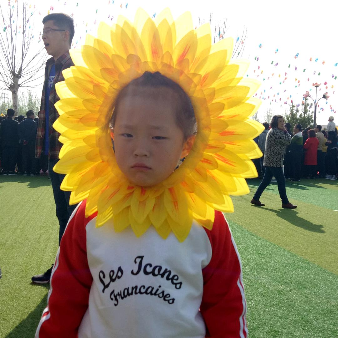葵花