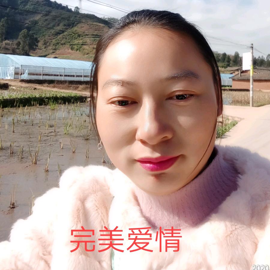 遇萍