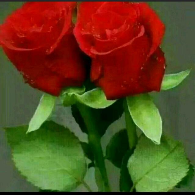 🥀ℒᎭℯ独具蒋心ꦿ҉᭄࿚ནོ¹