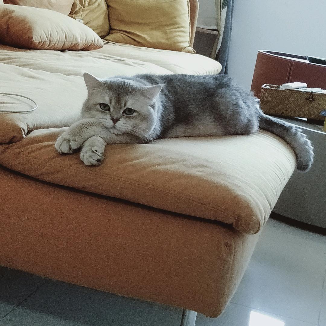 Benjamin ClawHauser.