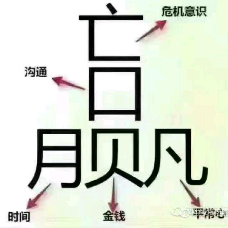 淡存的记忆