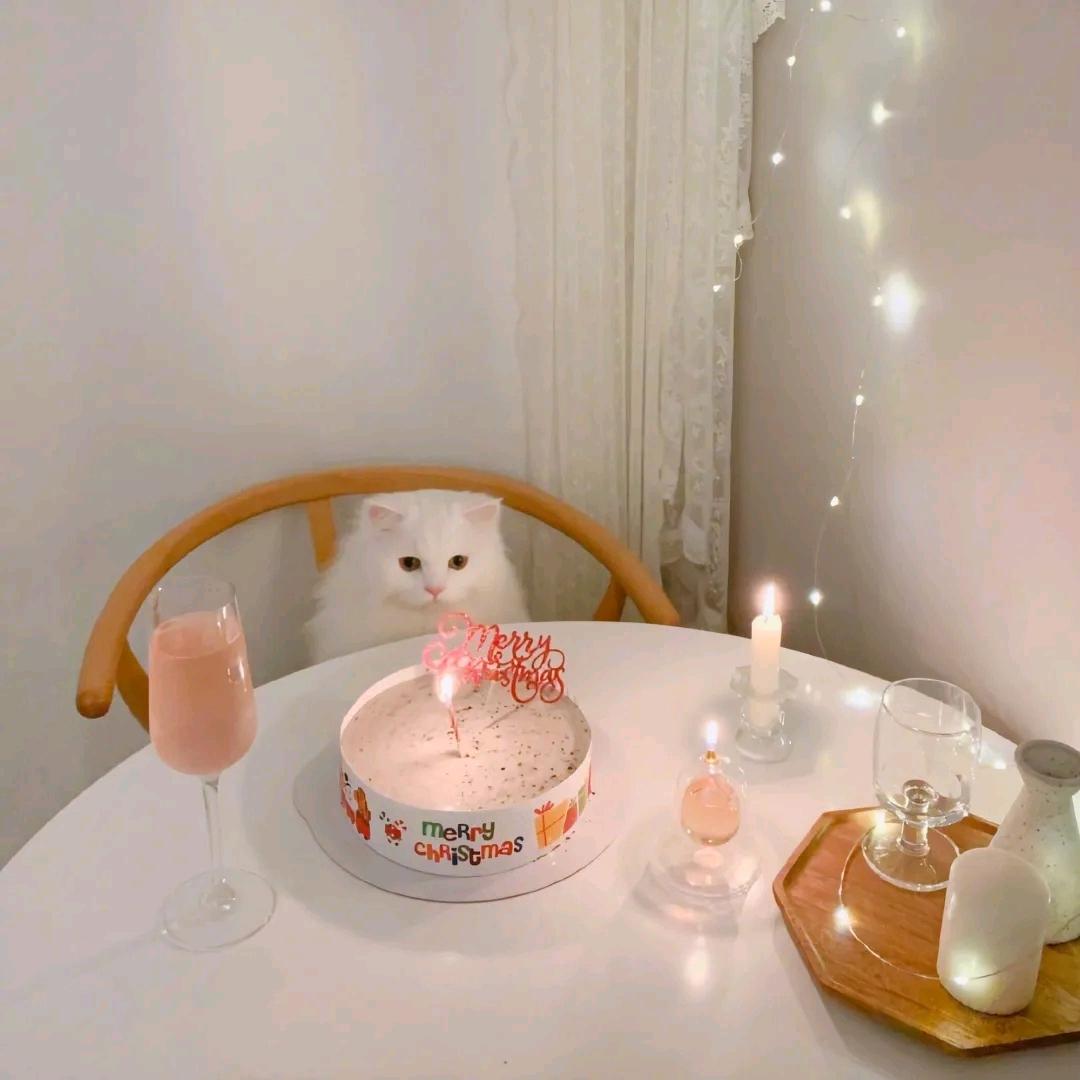 诚嘉💞贇🧚‍♀️