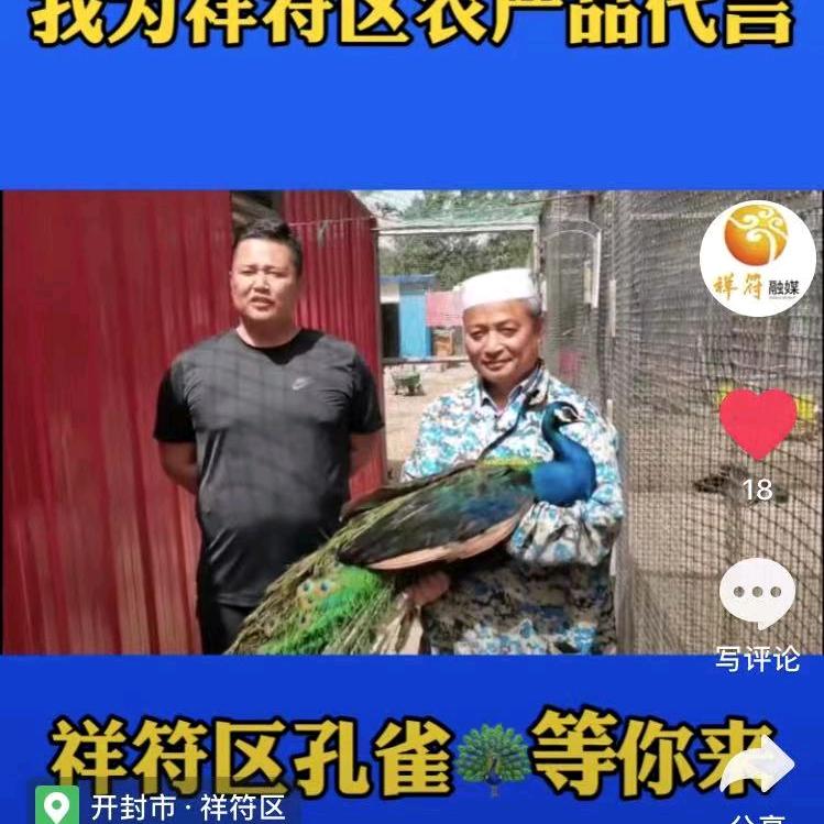 汴梁小马哥