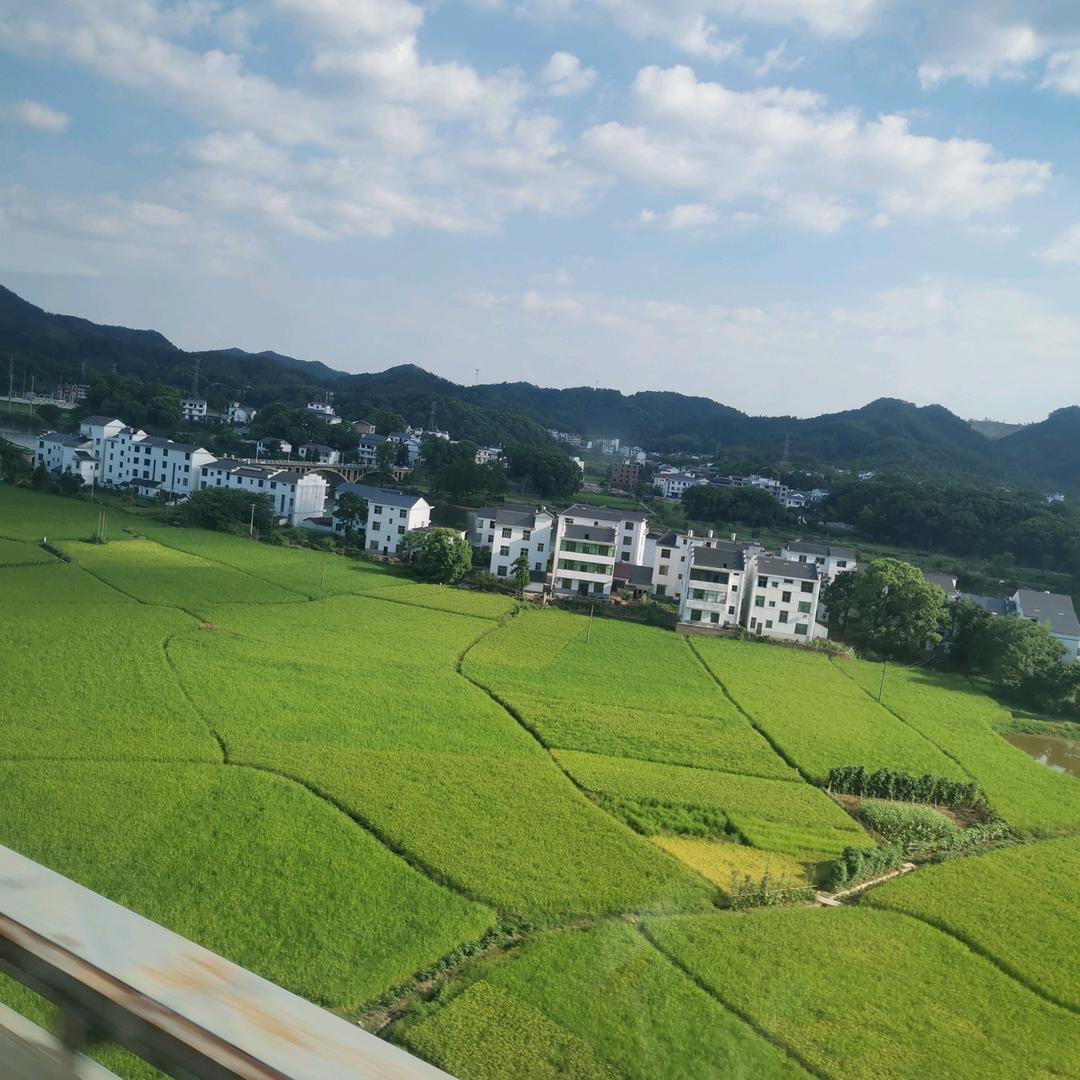 欣怡坊
