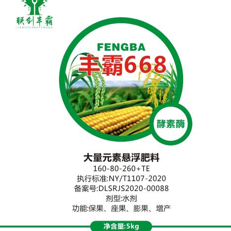 丰保小马