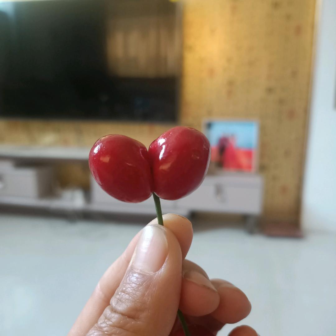 一路上有你