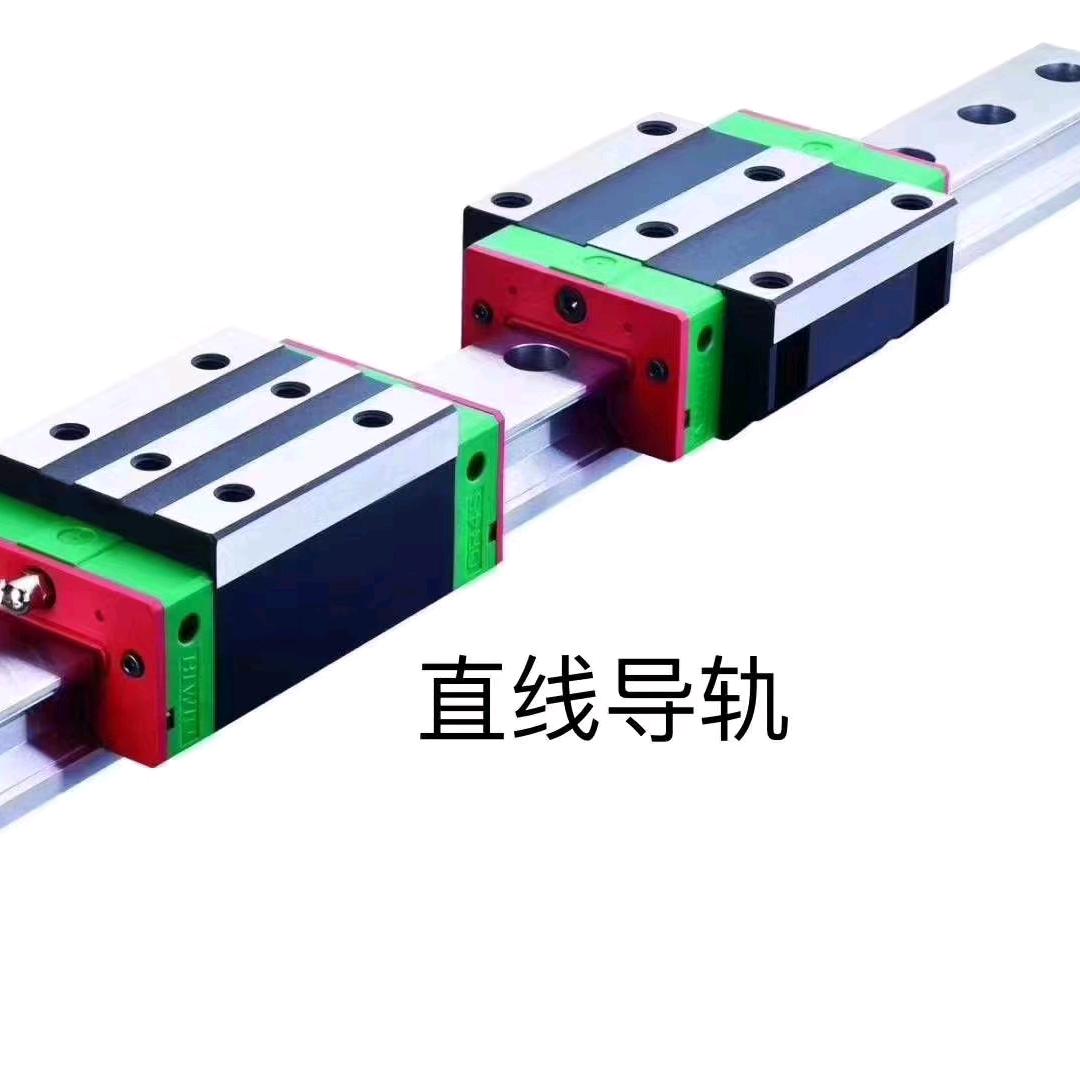 会飞的黑蚂蚁
