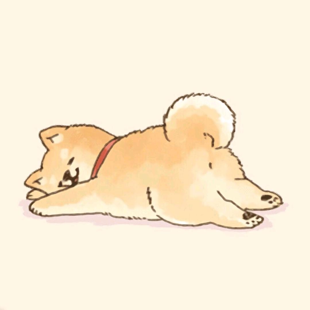小笑笑@抖音