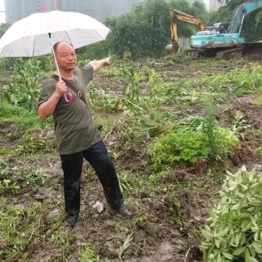 陈建华2（一歌家人，经验分享）晚8：20