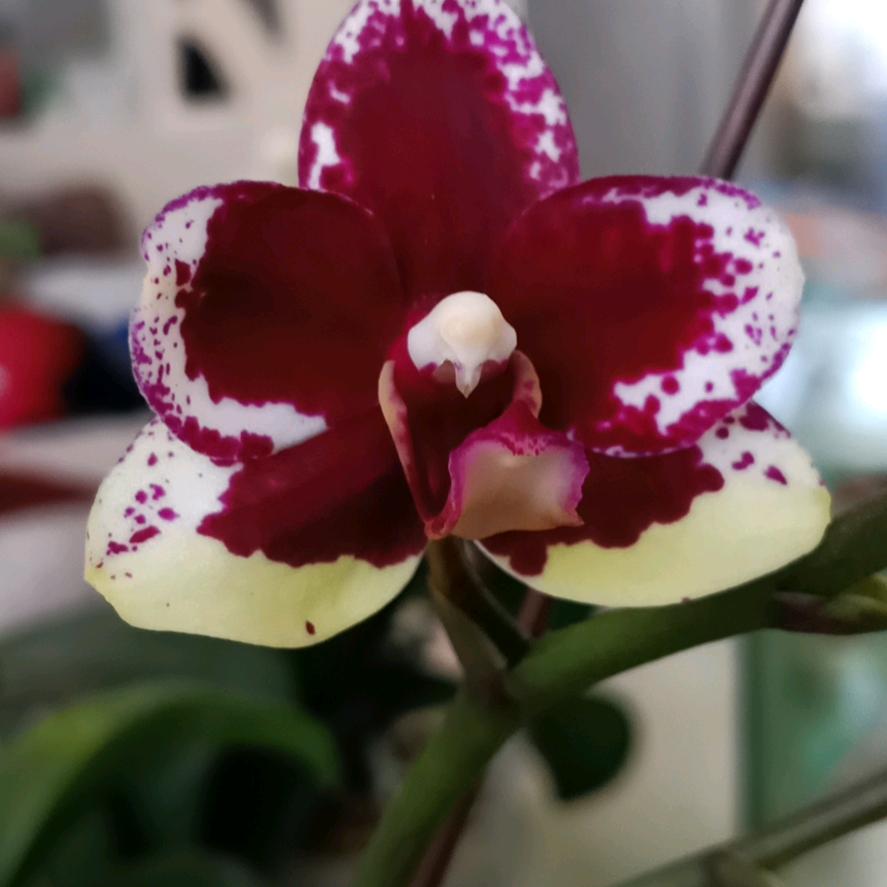 用户9742562207239米粒