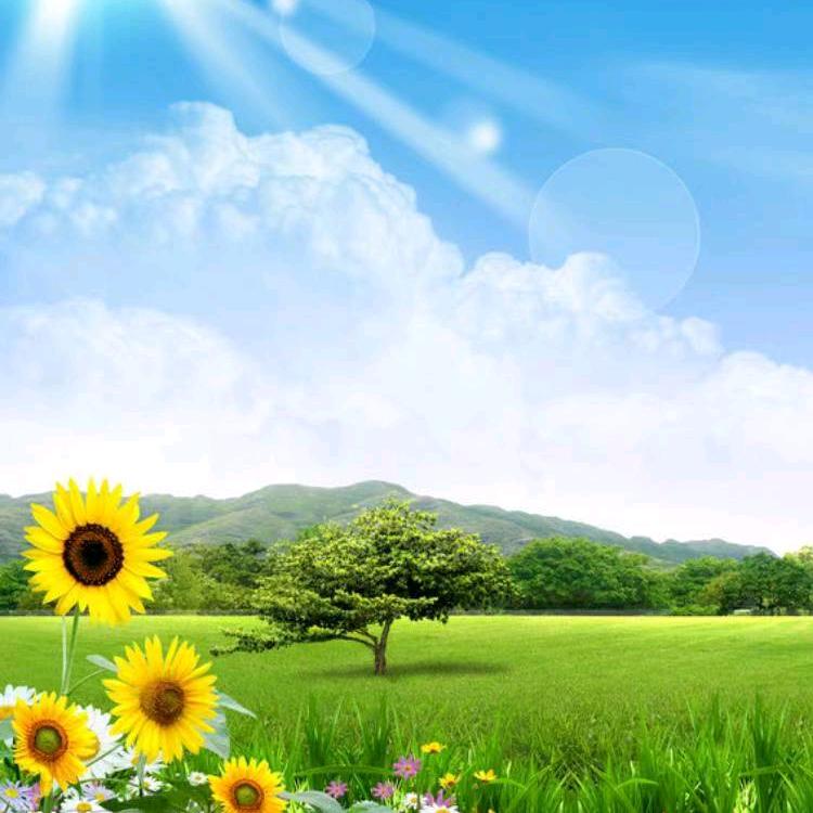 测绘、试验仪器