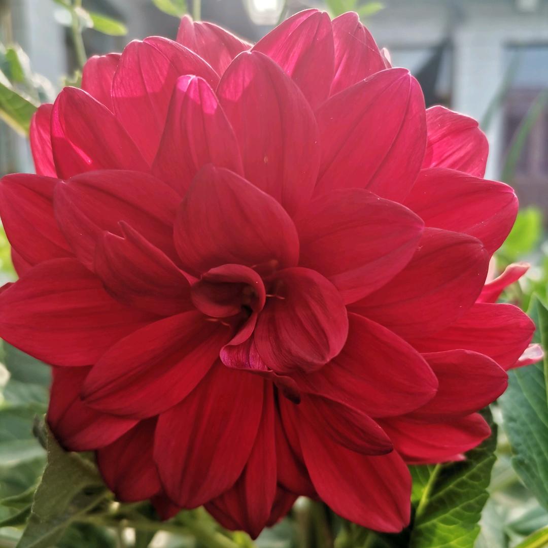 吃亏是福拒私聊