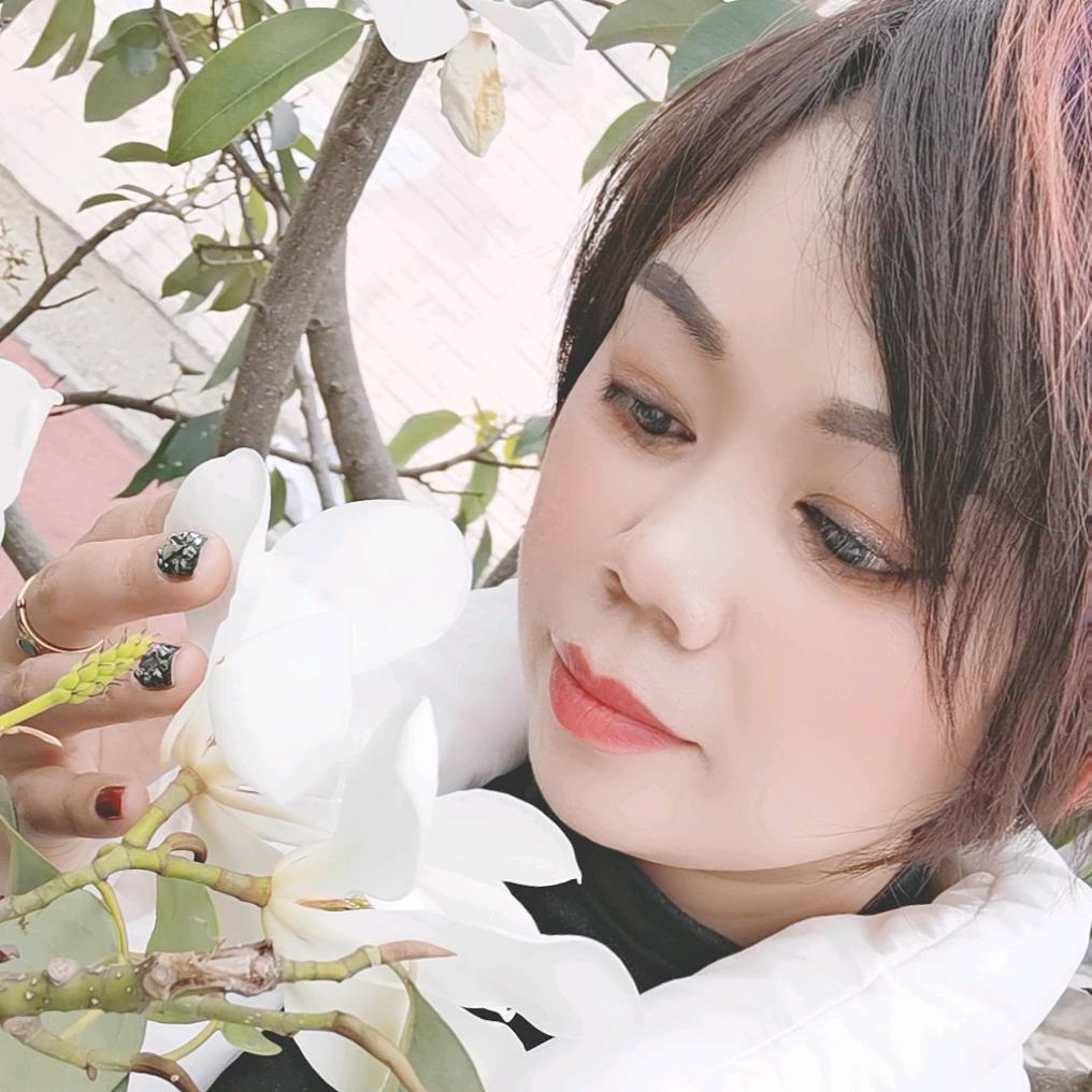 小菊