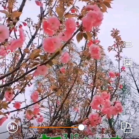 微笑面对生活
