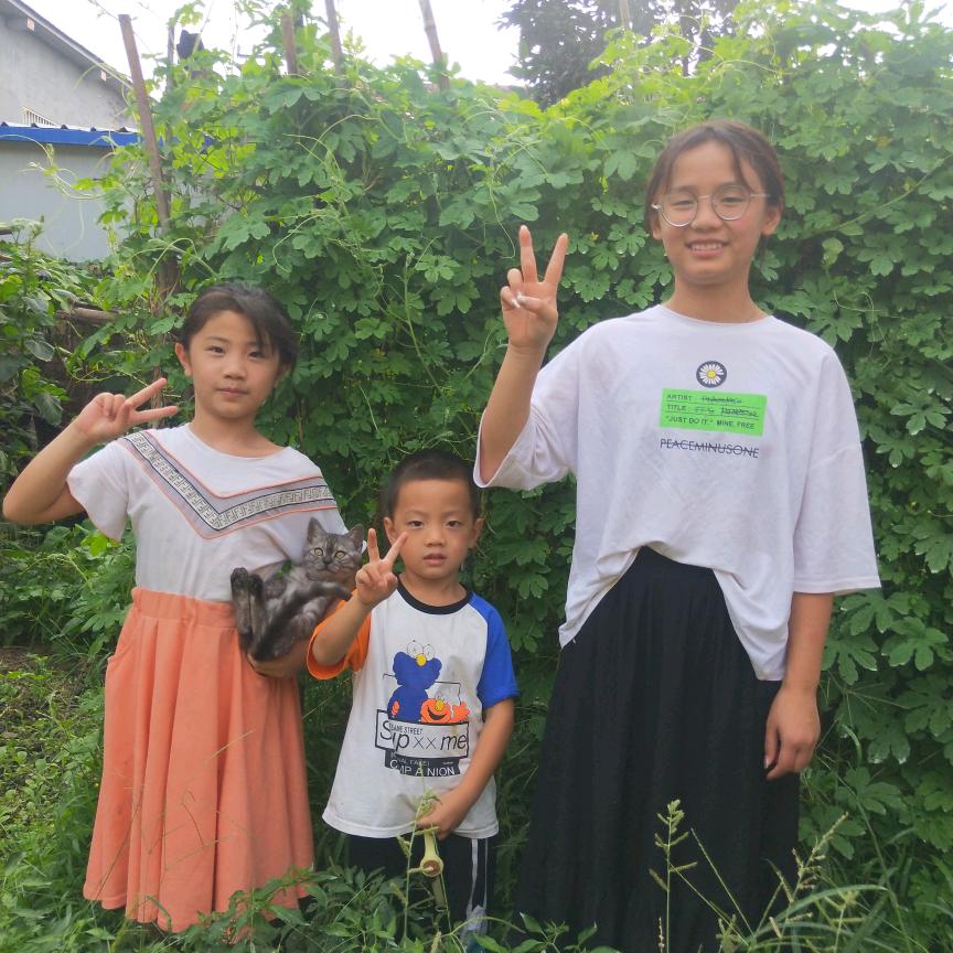 橙心橙意.
