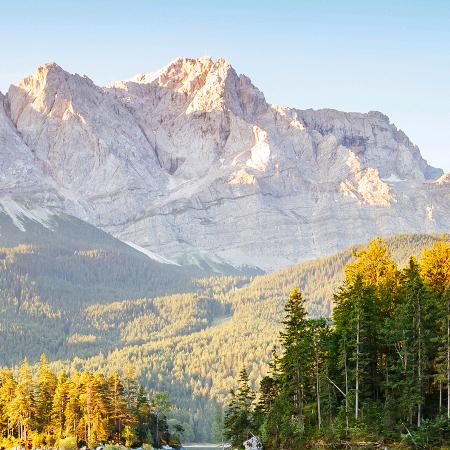 佘生安好，凡尘清心