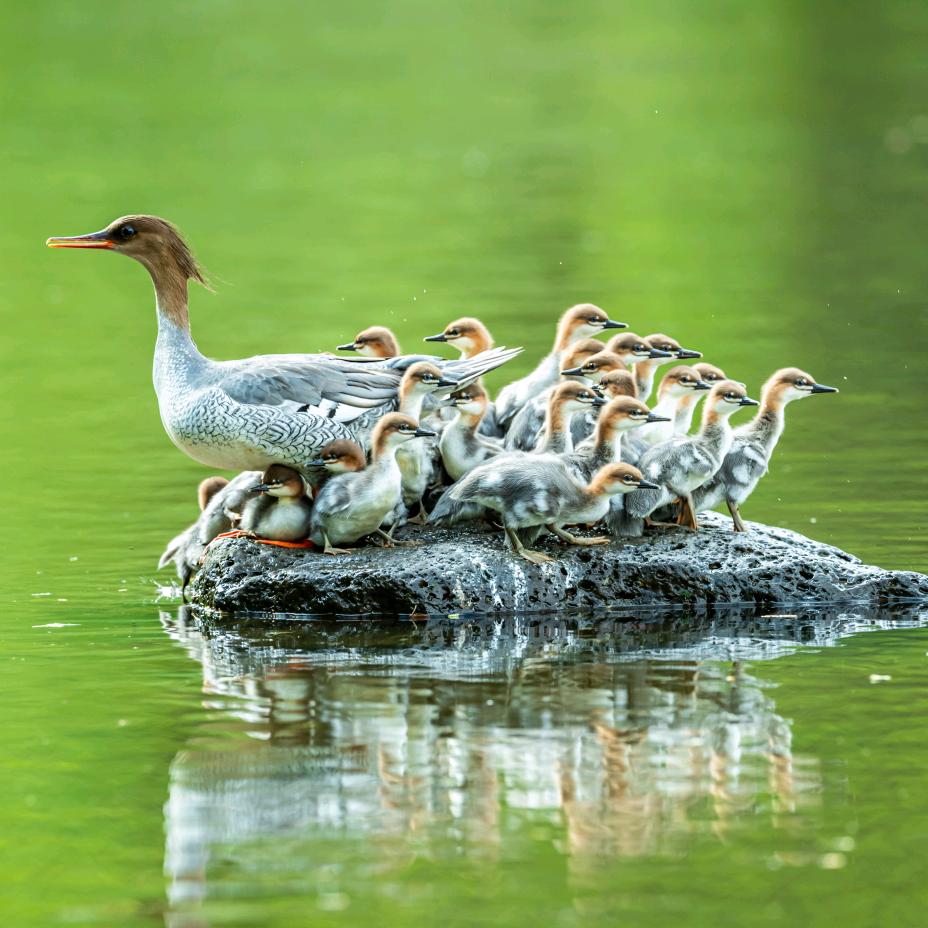 史二（长白山）