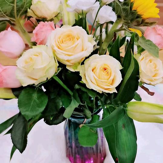 开开心心每一天