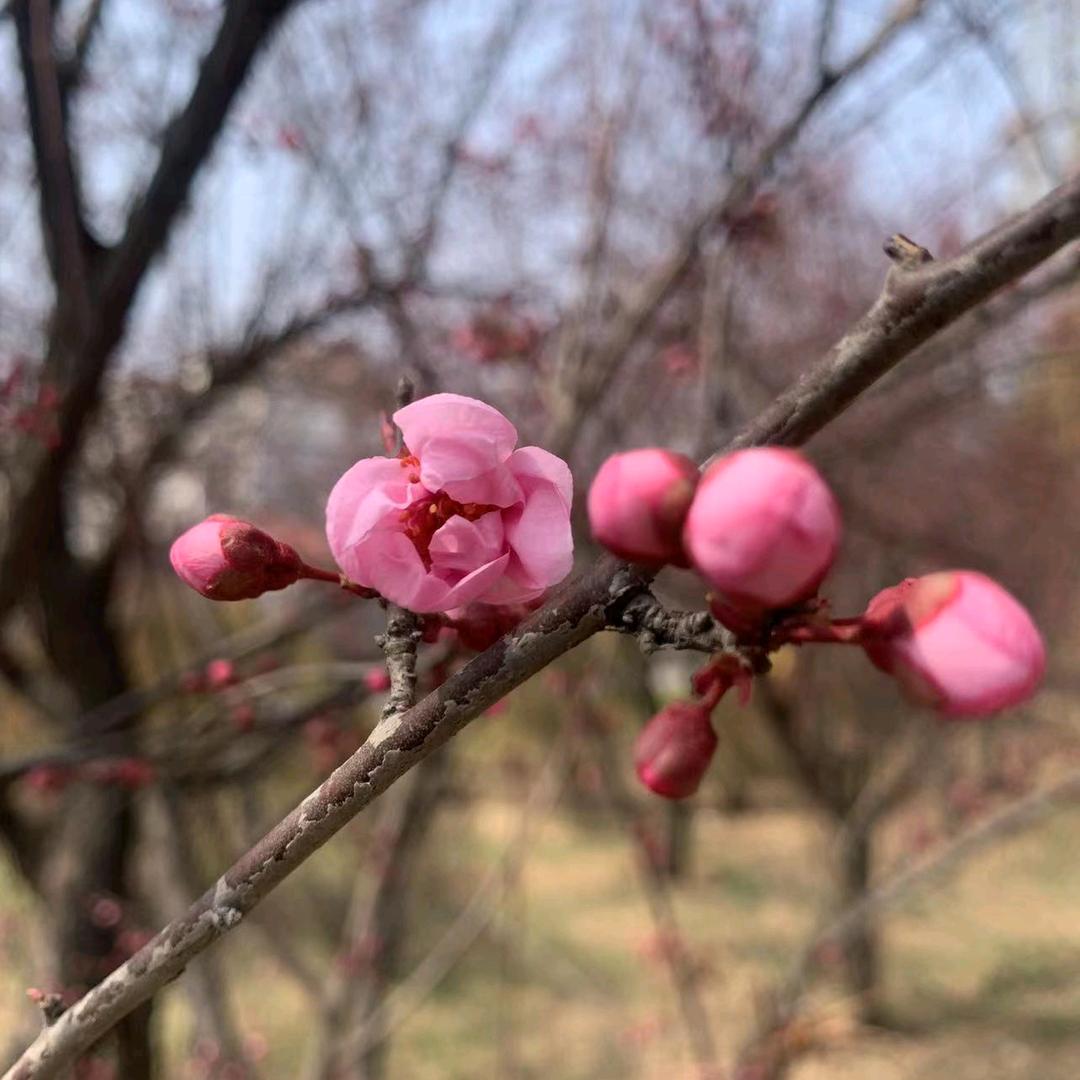 简单快乐🌸