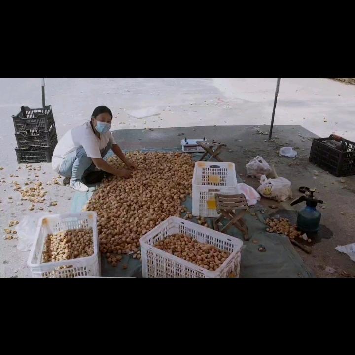 幸福小露