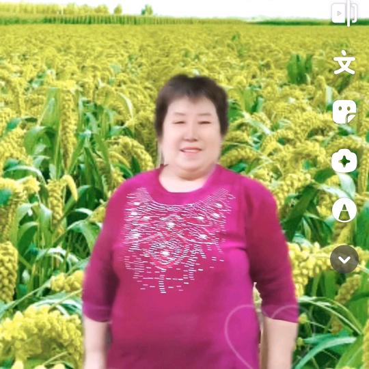 叶兰姐（早上5.30）