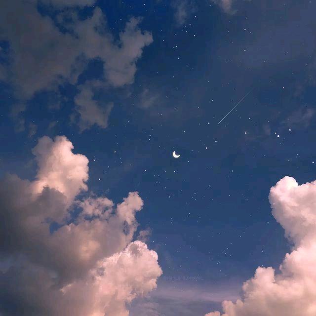 𝑀𝚎𝚛𝚌𝚞𝚛𝚢✨