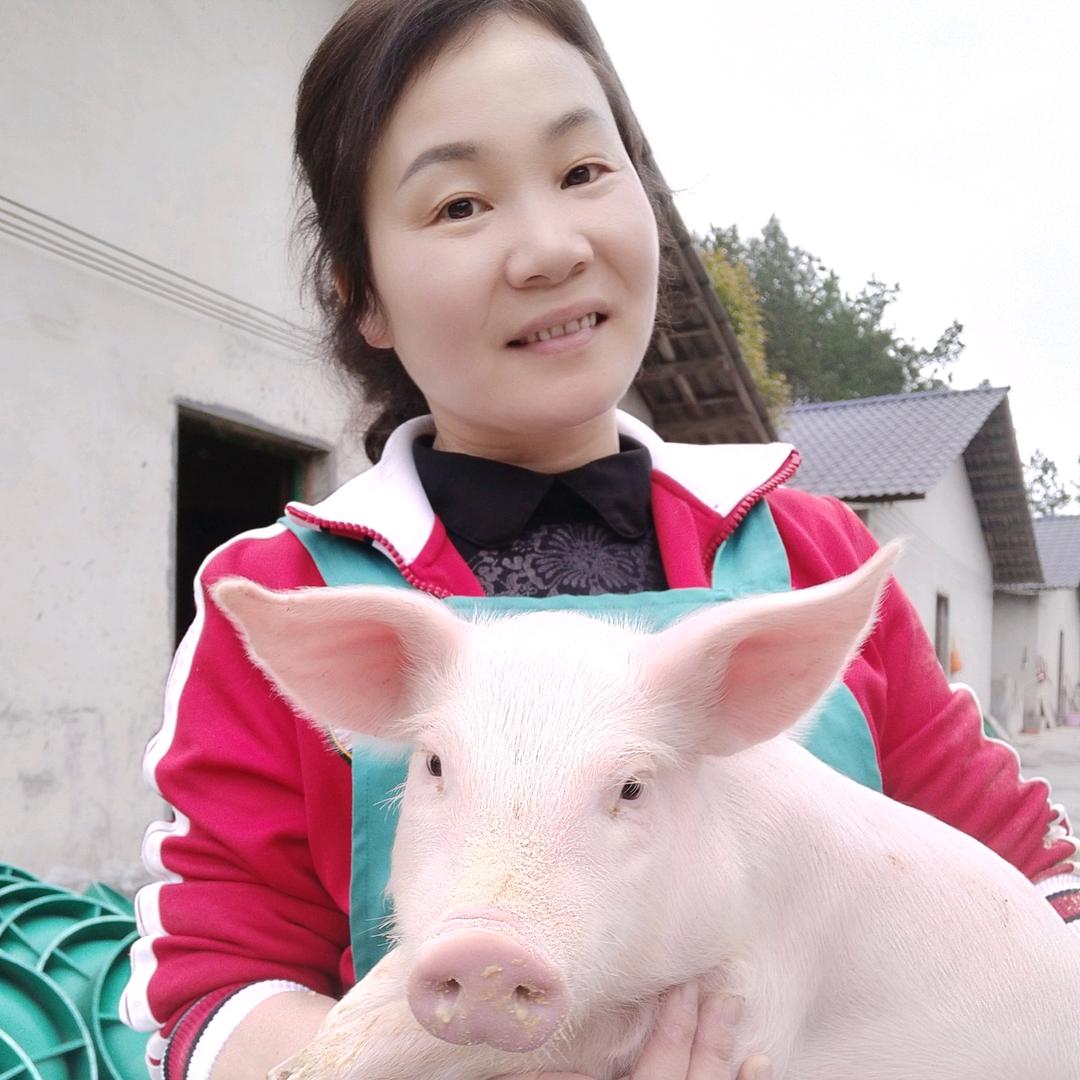 宇姐养猪