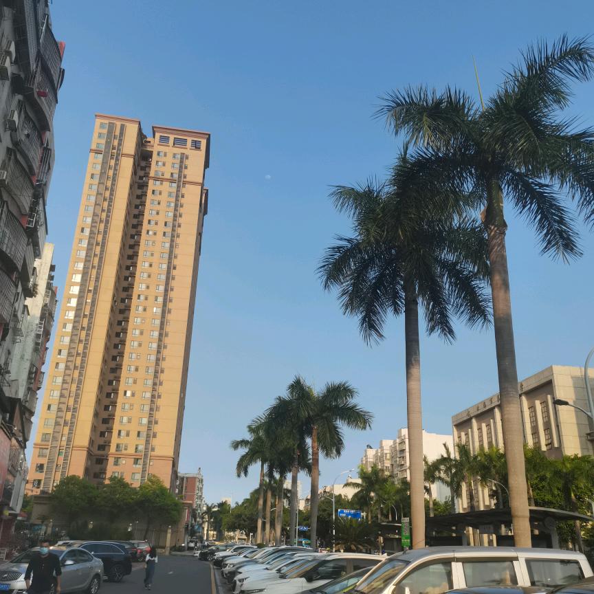 黑河佟哥