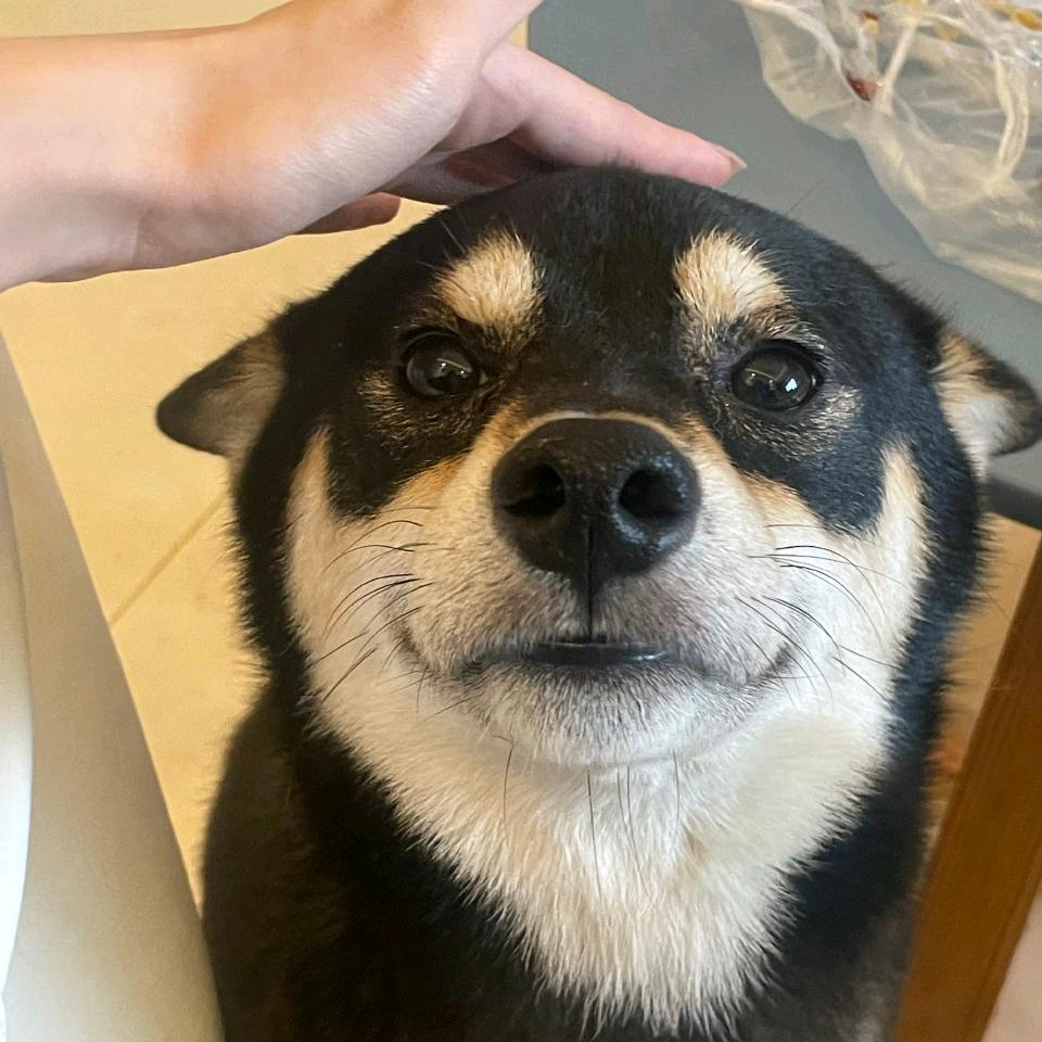 我爱羊毛卷