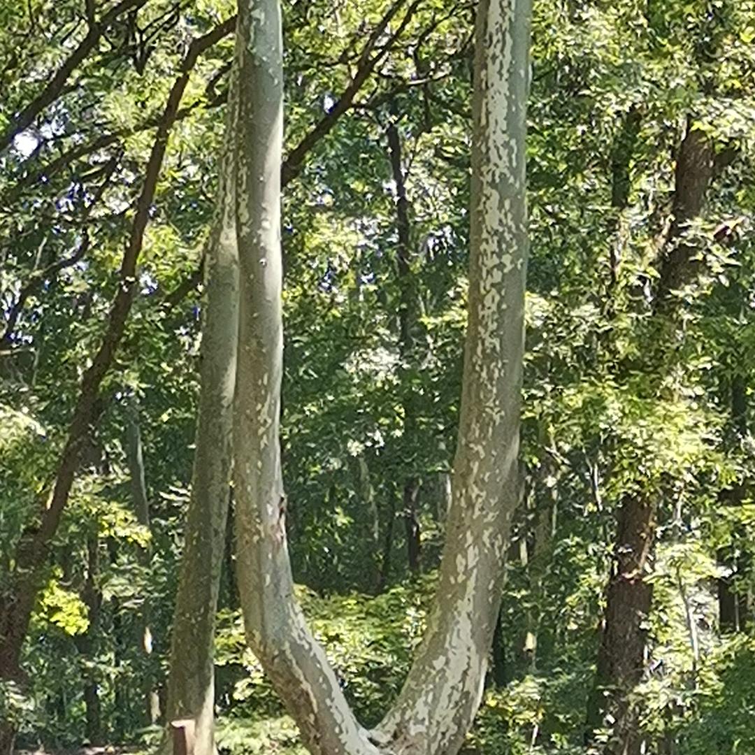 万