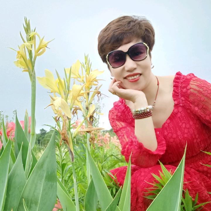 梦的翅膀