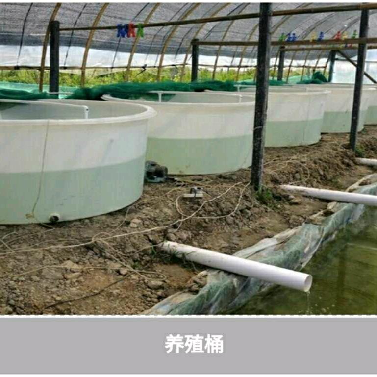 疯影