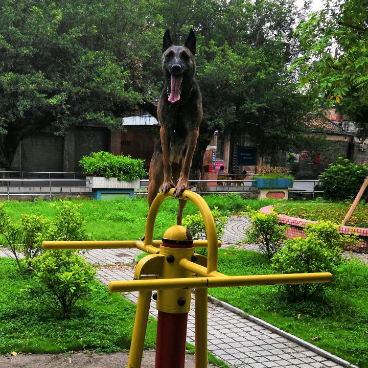 勇