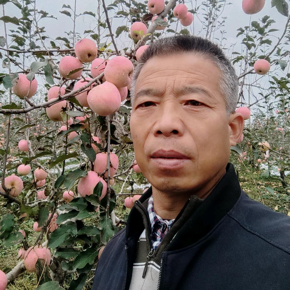苹果哥