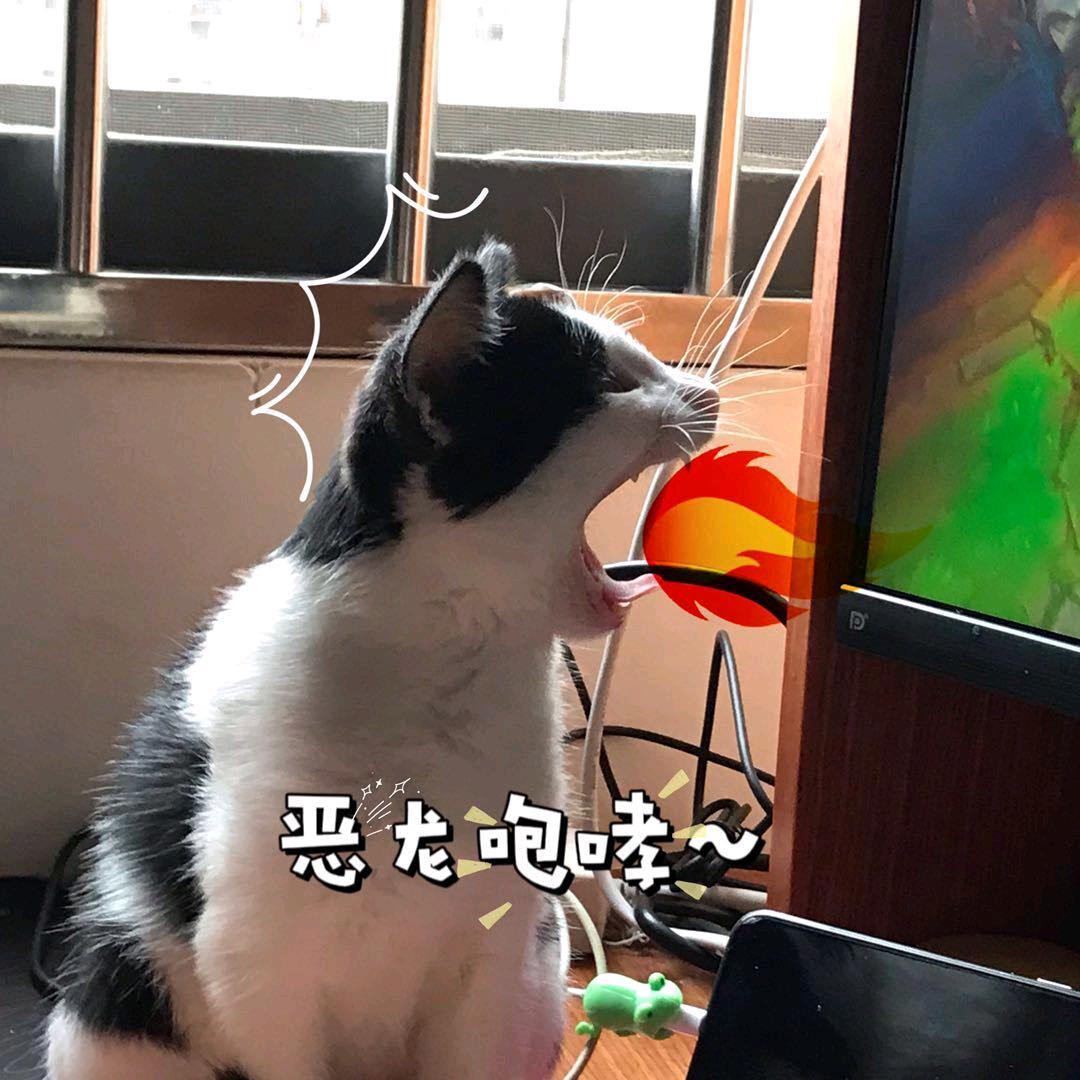 树琳和滴滴