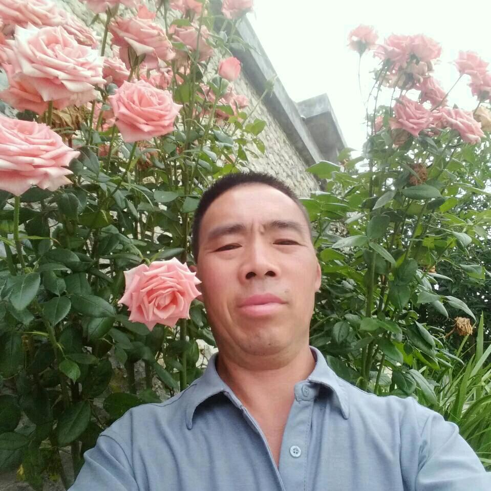 忘掉过去