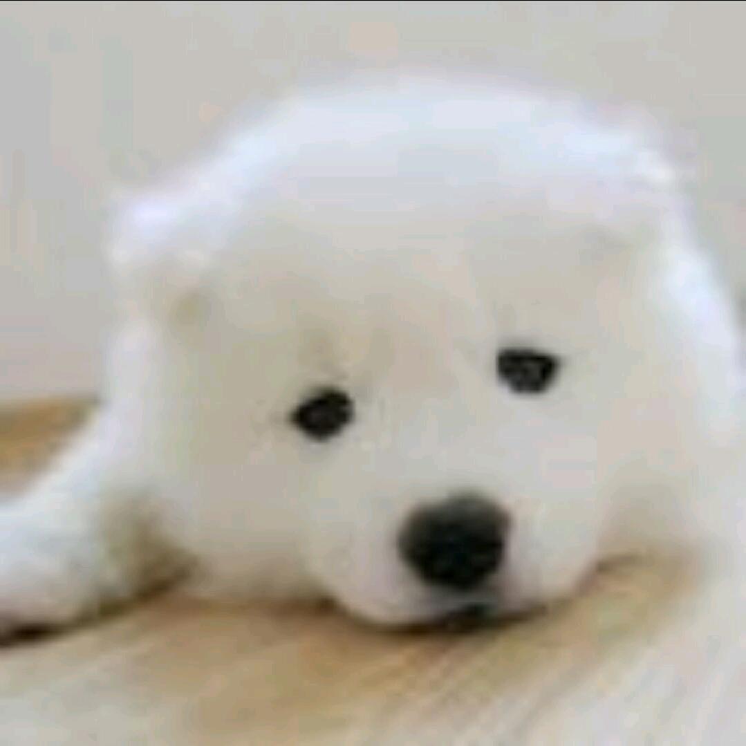 “面朝大海春暖花开”