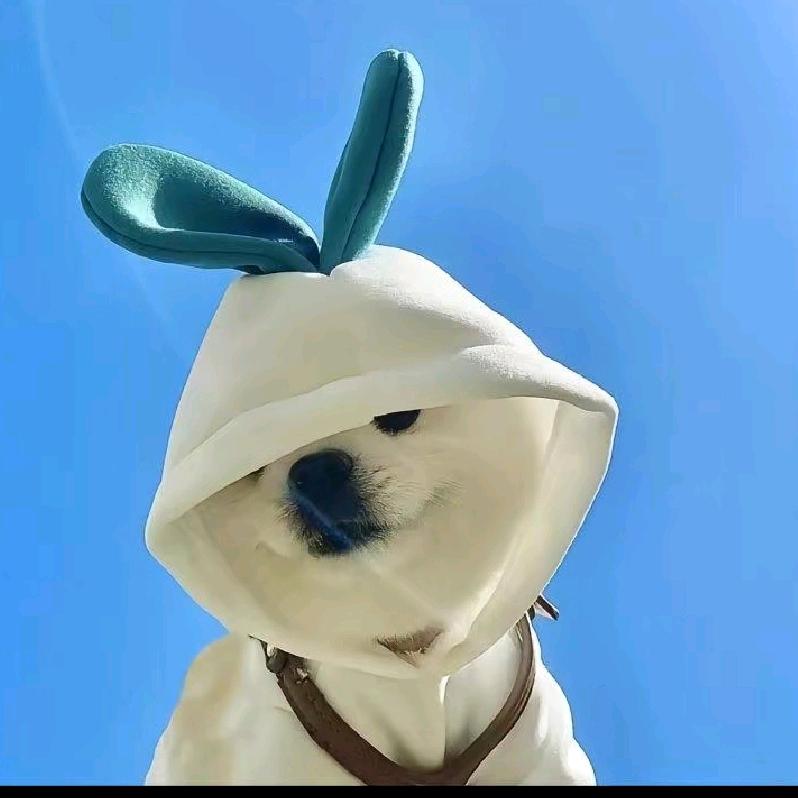 Food  流油😂᭄