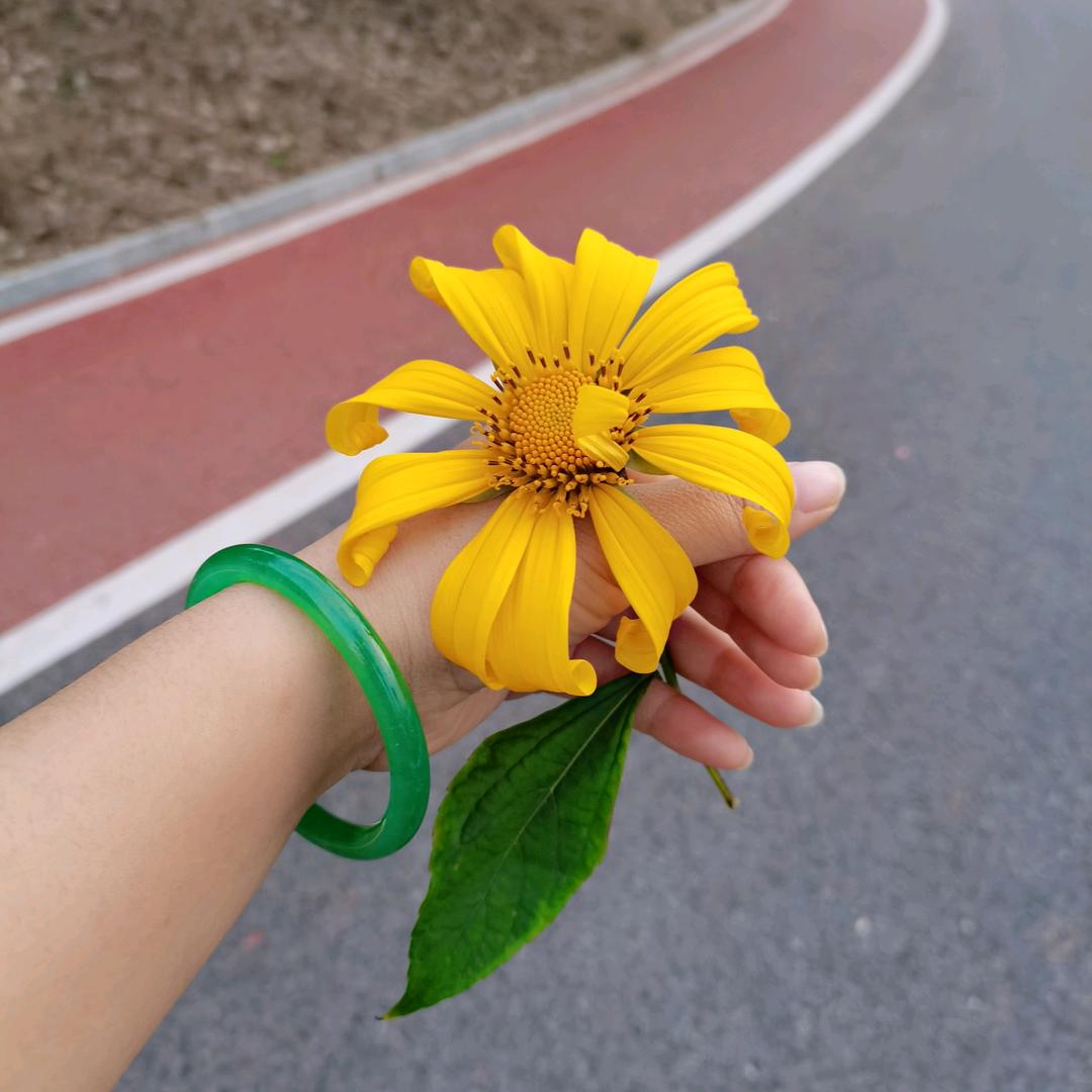 ღ᭄ꦿ꯭ℳ小辣娇ঞꦿ໌້꧔