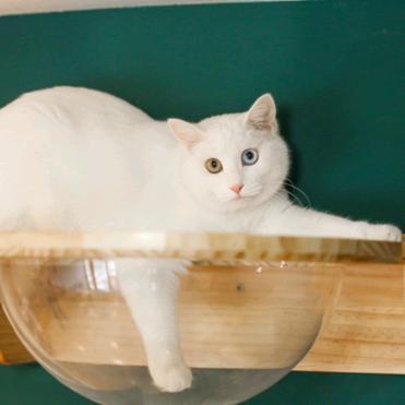 暮归（见过孙燕姿版