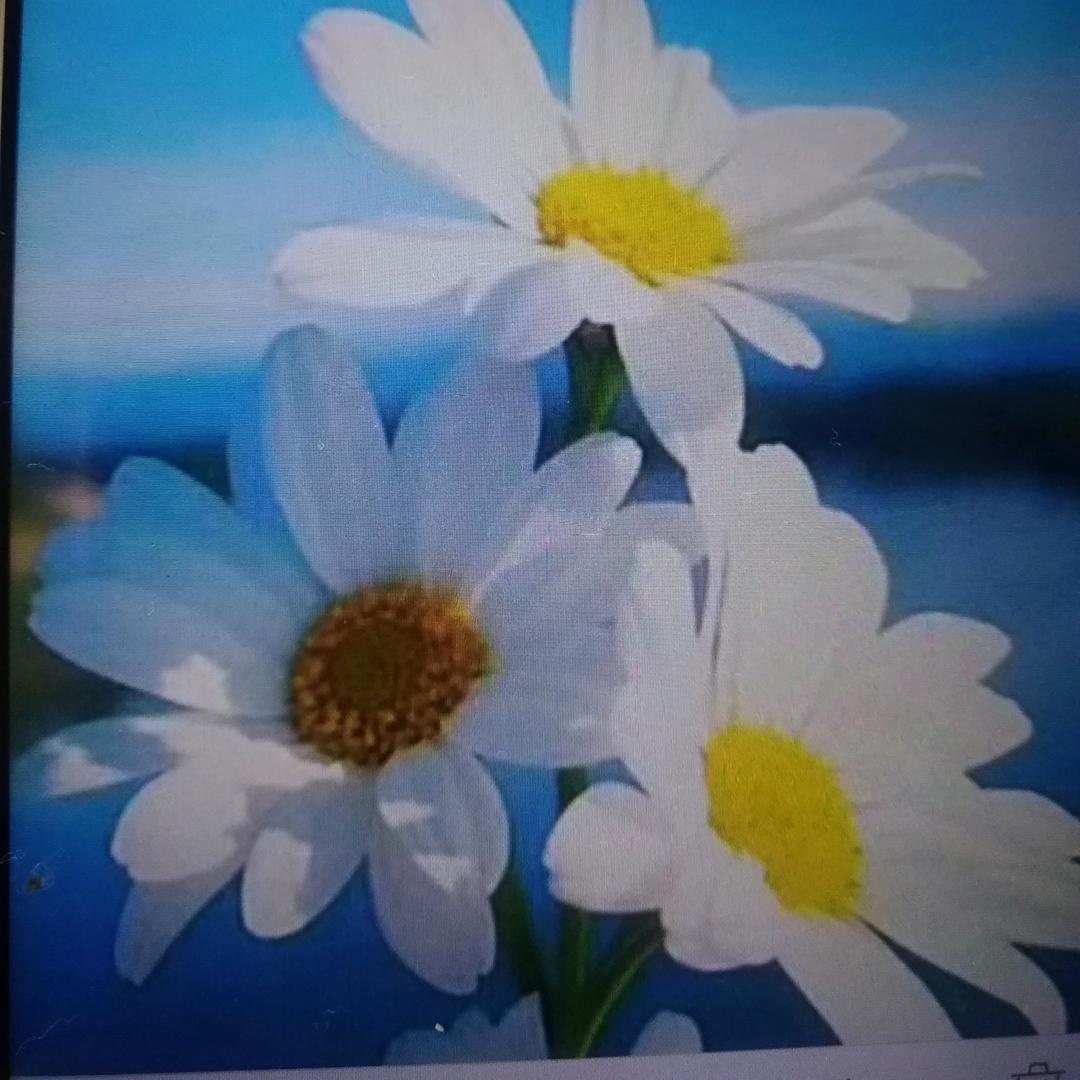 宁静致远