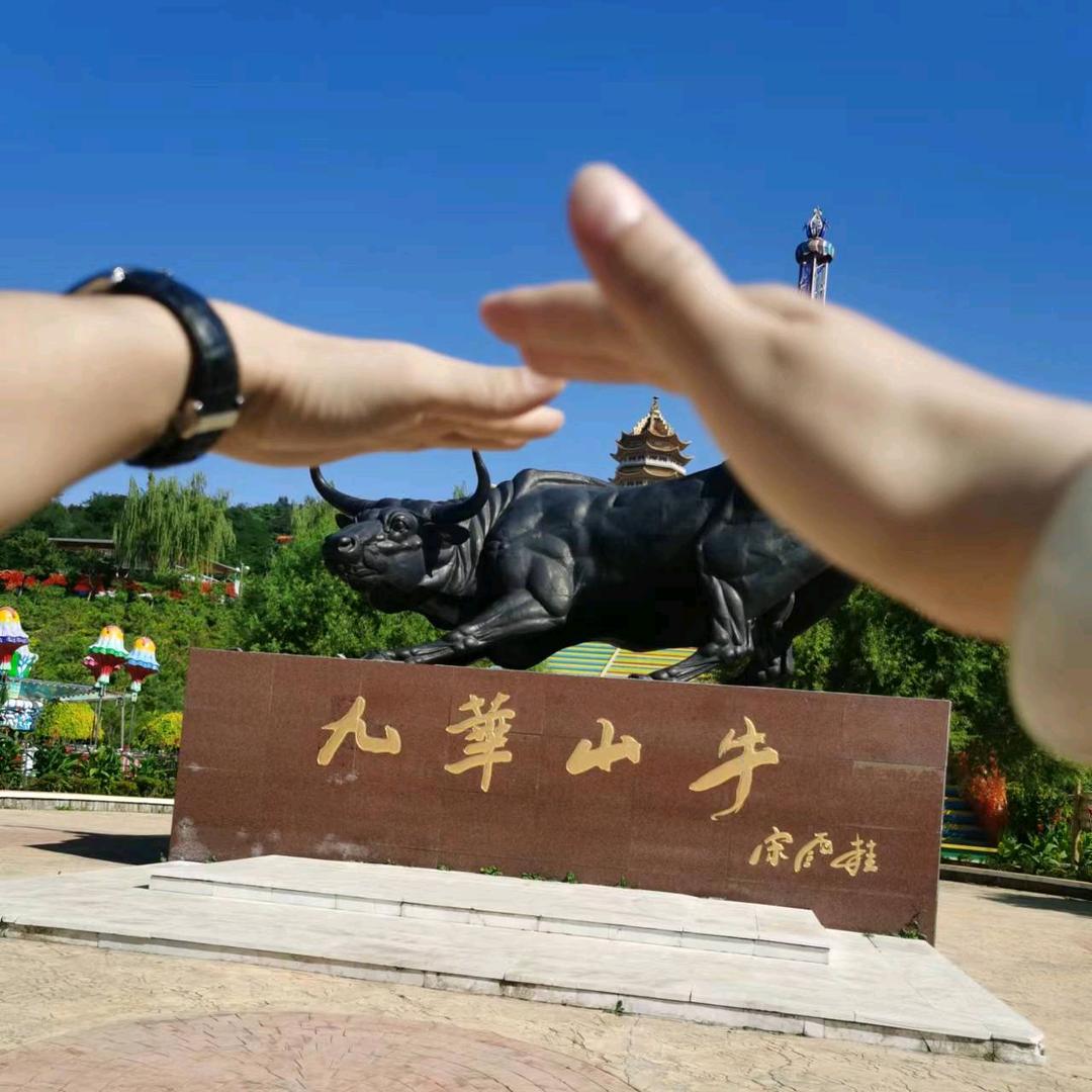 奇谈杂论（琢木鸟）