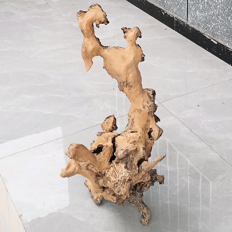 孔祥辉