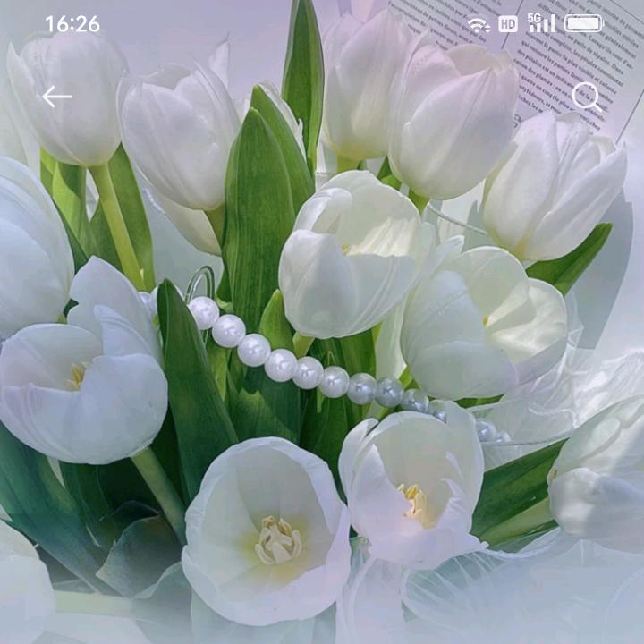 任性